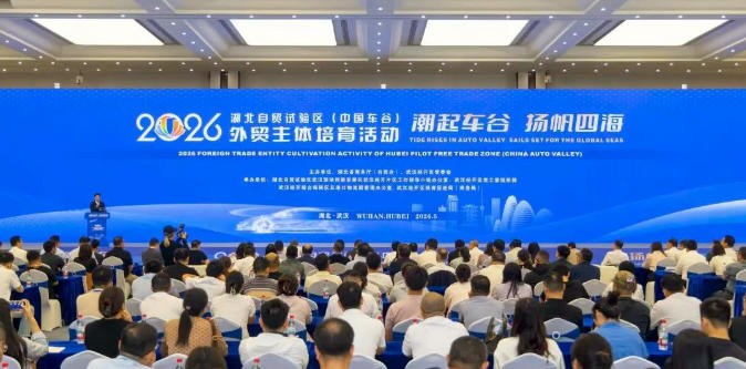 累计培育外贸主体超400家 武汉经开区加快培育外贸新动能