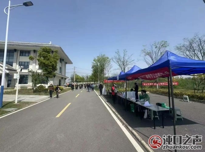 清明假期 武汉经开区绿色文明祭扫蔚然成风