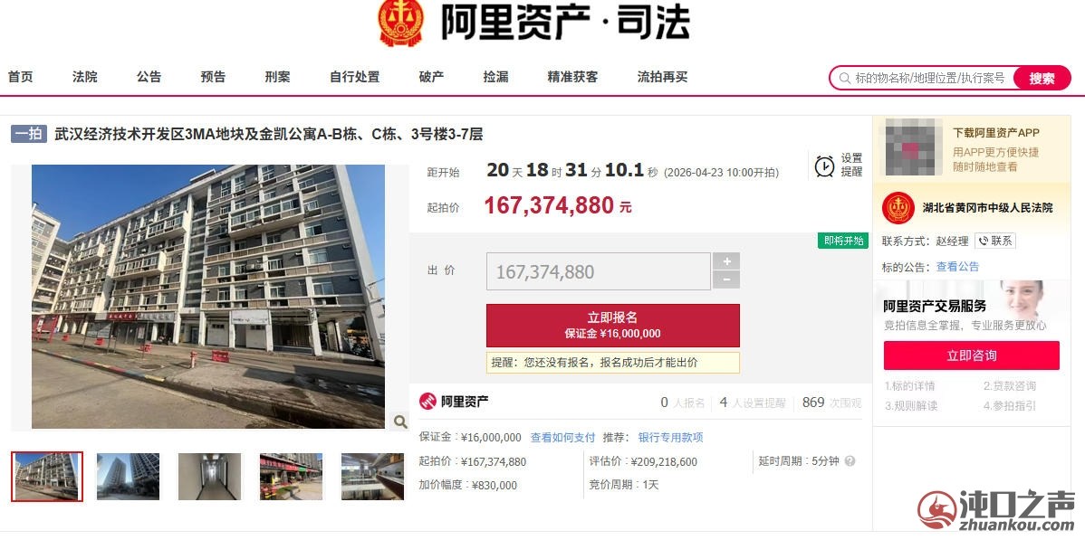 1.67亿元，沌口这个老牌公寓居然要拍卖....