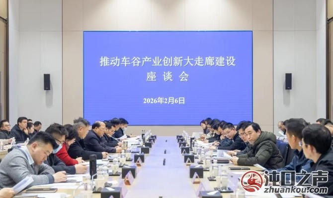 车谷产业创新大走廊建设方案听取意见座谈会在武汉经开区举行