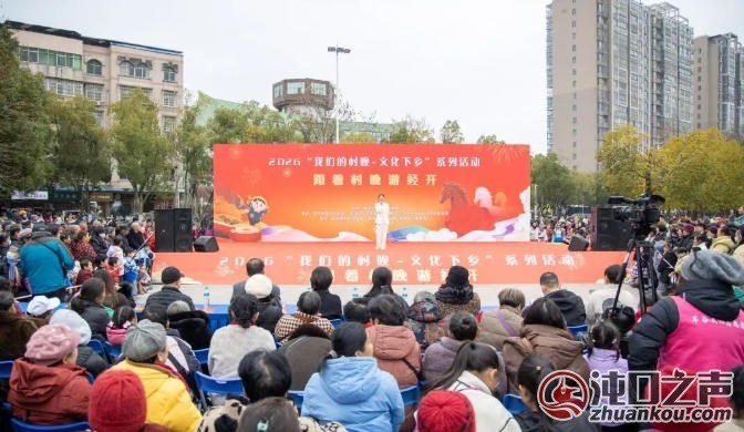“我们的村晚·文化下乡”系列活动走进武汉经开区